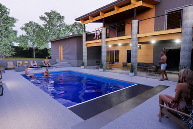 Modelo de piscina moderna pequeña rectangular en patio trasero con privacidad y losas de hormigón
