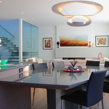 Glass and veneer kitchen in South Calgary