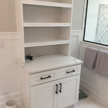 Master Bathroom Remodel
