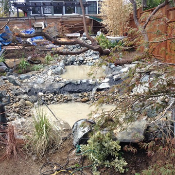 Zen Water project - ongoing