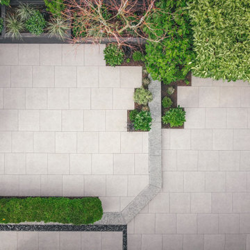 Drone View
