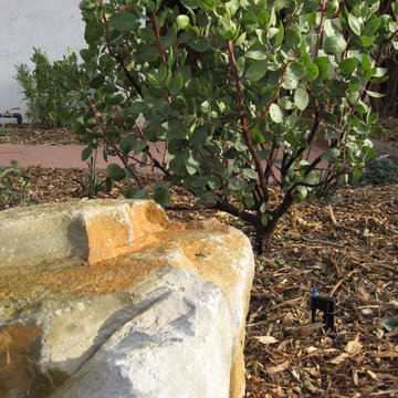 Stylish Bluestone Under the Oak