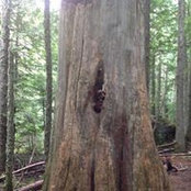 J Van Wingerden's photo