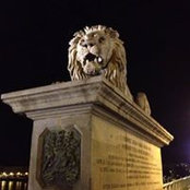 Sylvia Kertesy's photo