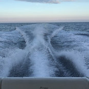 Photo de Daniel Attard