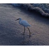 Andrew O'Dell's photo
