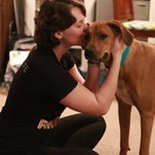 Sarah Ludinich's photo