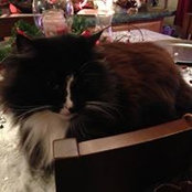 Patricia Damewood-Douglas's photo