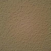 Robin Nitsche's photo