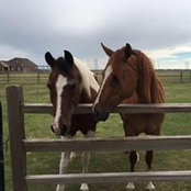 Deb Anderson's photo