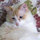 mary_latour8532