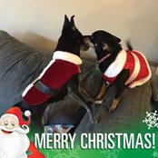 Allanna Walsh's photo