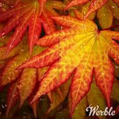 David Eplerone's photo