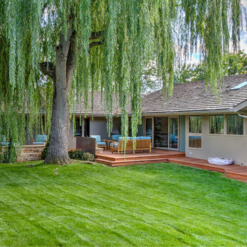 Willow Sanctuary