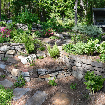 Overview of woodland garden