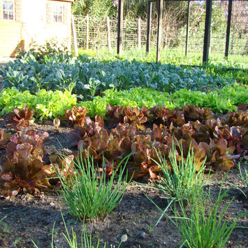 Vegetable gardens