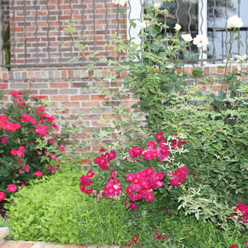 Traditional garden in Northwest Hills