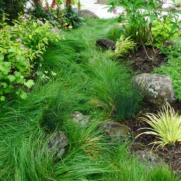 Piedmont front garden