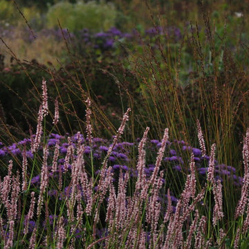 One End Road Gardens