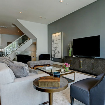 Houston Townhome