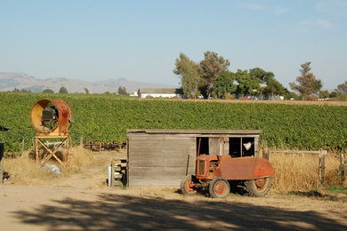 Carneros Winery, Napa, Ca.