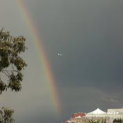 Lety Pineda's photo