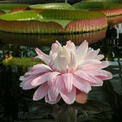 Vicky Churchill's photo