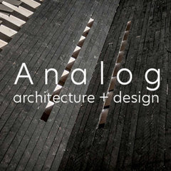 Analog Architecture and Design