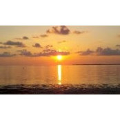 Nancy Harrison's photo