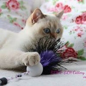 Moni Hartmann's photo