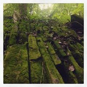 Felipe Romo's photo