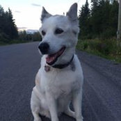 Gregg McCabe's photo