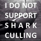 Kirsty Ackerman's photo