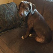 John Schultz's photo