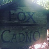 Catrin Powell's photo