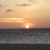 Matt McCabe's photo