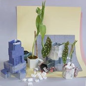 Carl Sandgren's photo