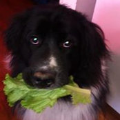 Jami Ralston's photo