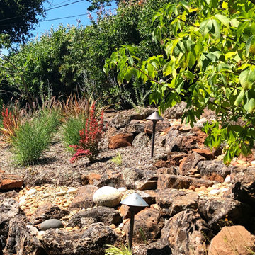 Orinda Oak Forest Landscape and Lighting