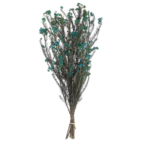 Vickerman All Natural Rice Flower, Preserved, Blue, 16-23"