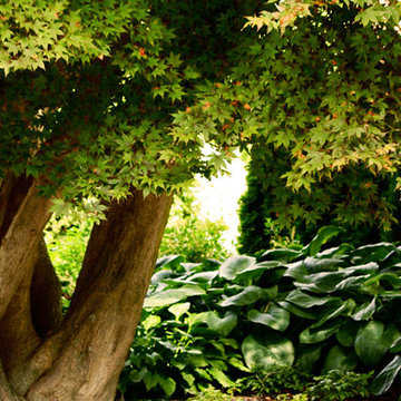 Chestnut Hill Low Maintenance Garden