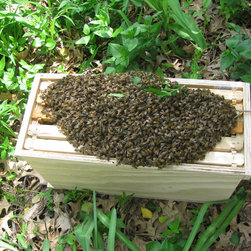Swarm Rescue - Products