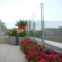 Modern Landscaping