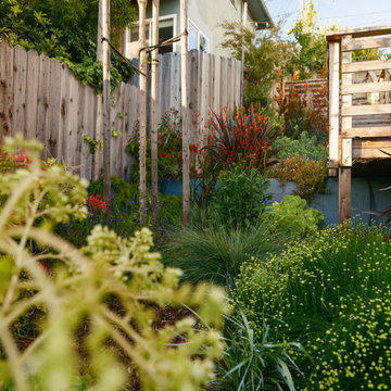 Explosive Color & Whimsical Plants