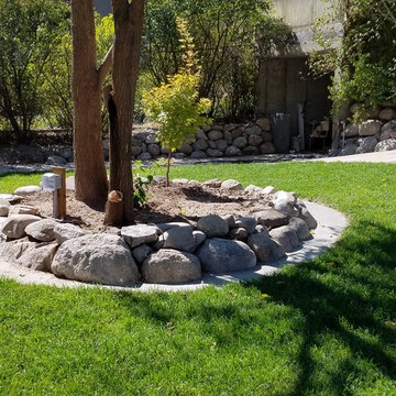 Landscaping Vineyard