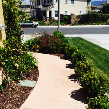 Cottage Garden with Flagstone Pathways