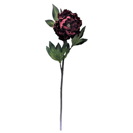 25" Red/Brown Peony Stem 3/Pk