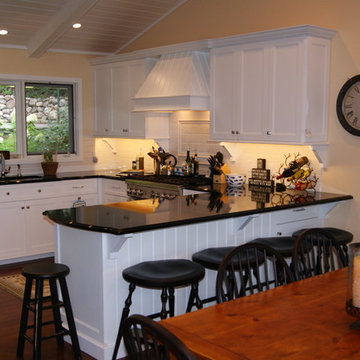 Harbor Springs Kitchen