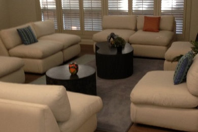 Living room - contemporary living room idea in Dallas