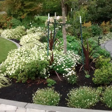 White front garden